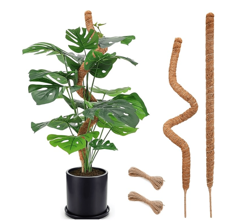 Moss poles for monstera